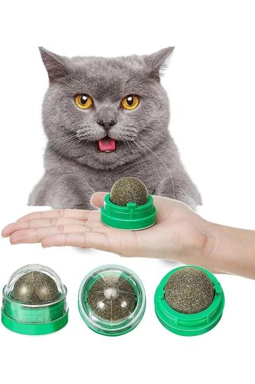 Kedi Yalama Yenilebilir Kedi Otu Topu Kedi Nanesi